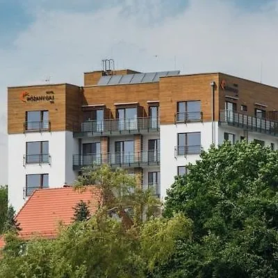 Różany Gaj Hotel 4*